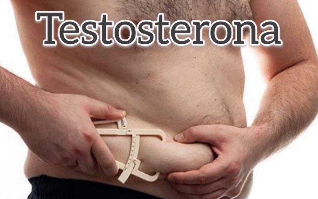A obesidade reduz a sua testosterona