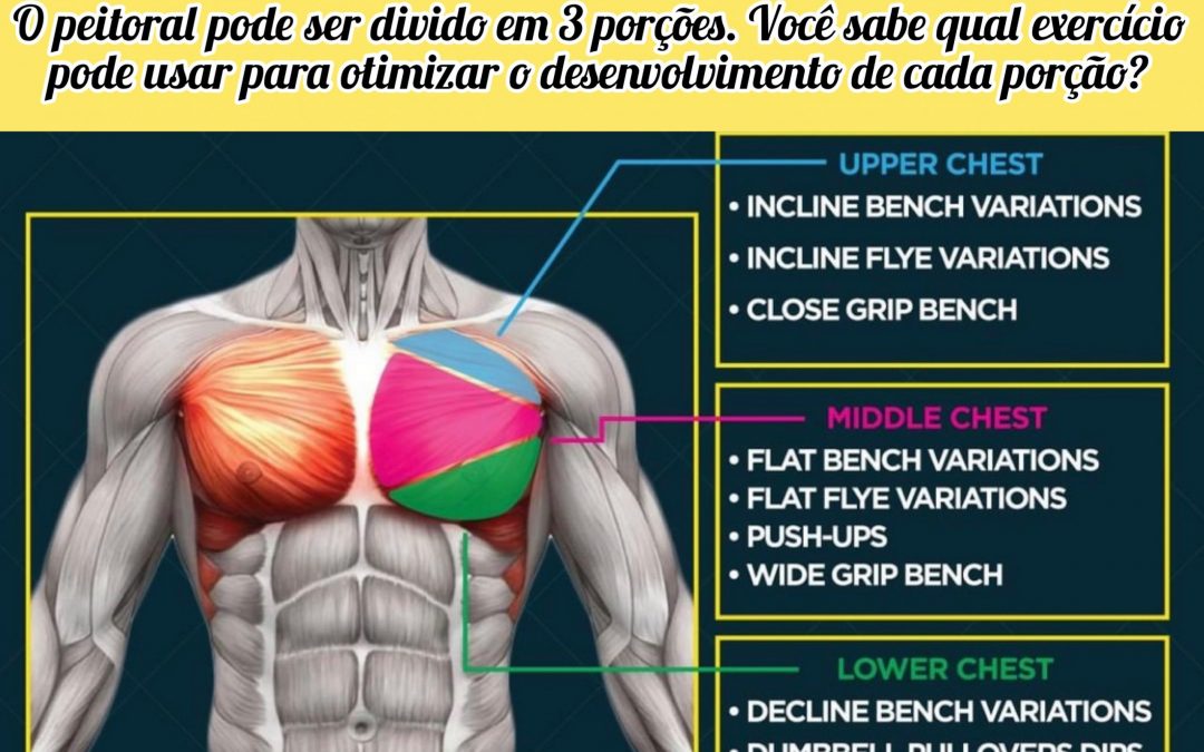 Como trabalhar melhor a musculatura do peitoral?